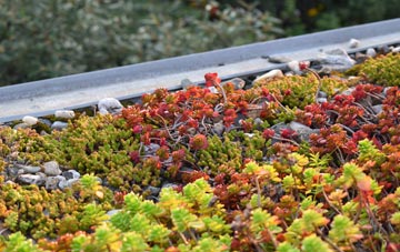 the cost of West Horton green roof installation
