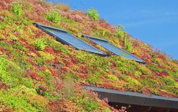 West Horton living roof systems